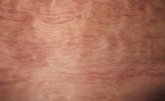 Bubinga (peeled)