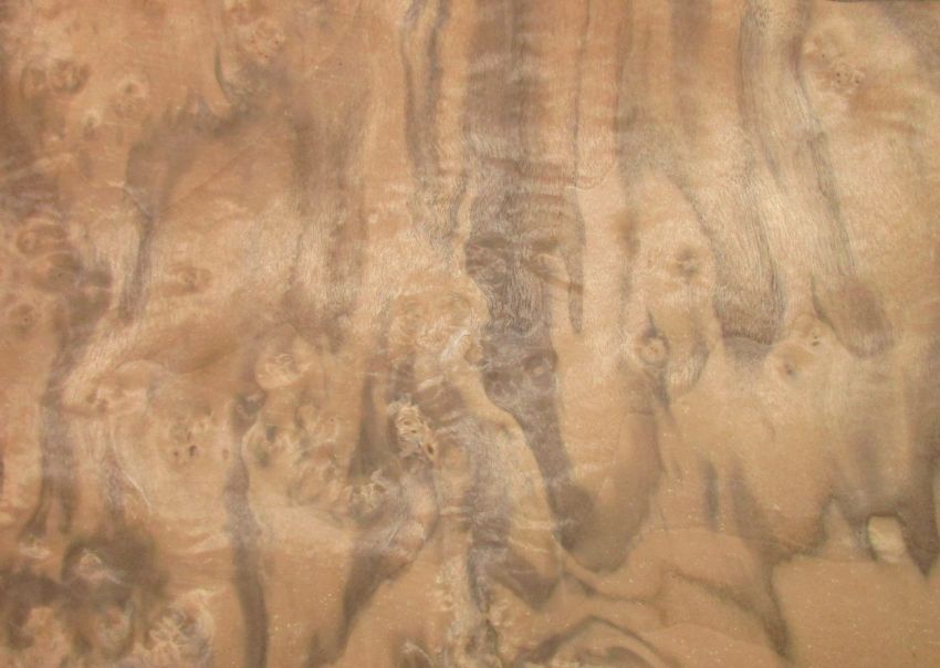 Walnut Burl