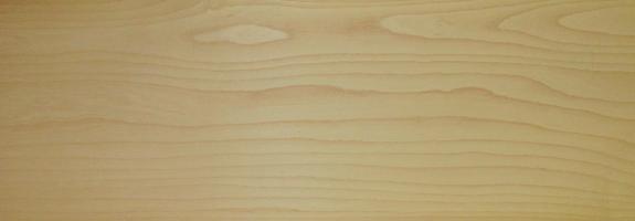 Elm (european)
