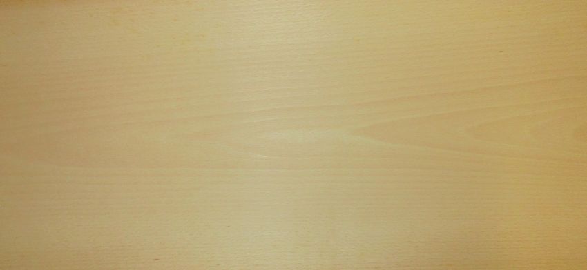 Beech unsteamed veneer