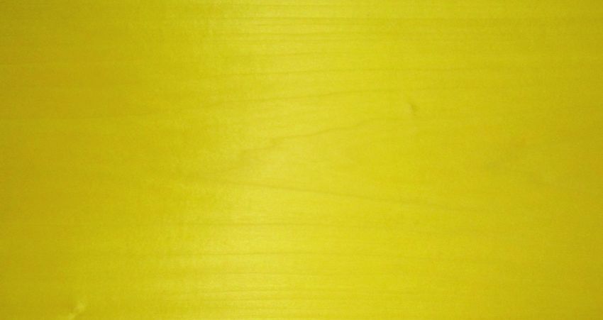 Poplar yellow veneer