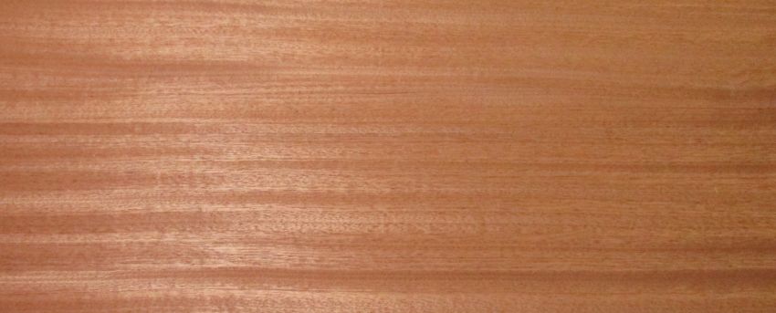 Mahogani (Sapeli) veneer