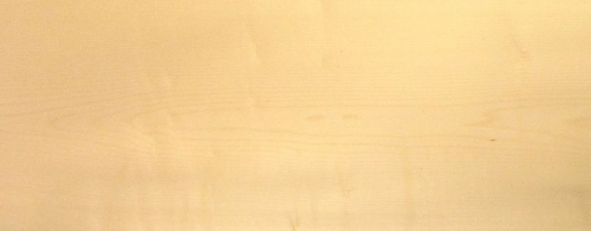 Sycomore (europ. Maple) veneer