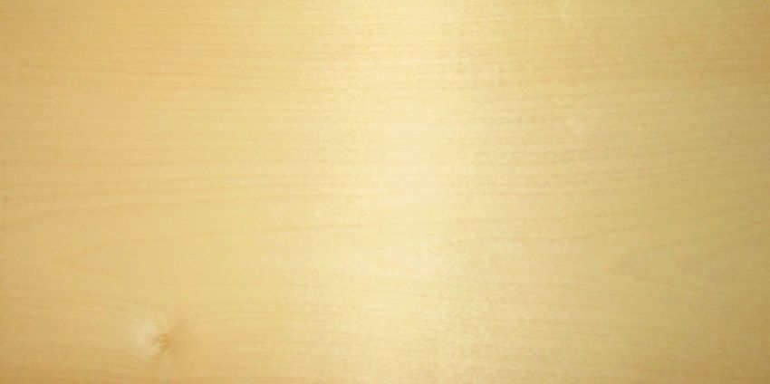 Sycomore (europ. Maple) veneer