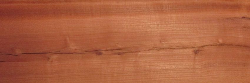 Plum tree veneer
