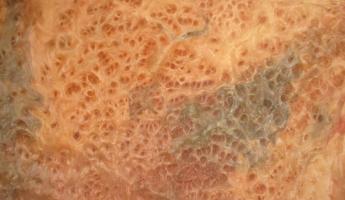 Vavona Burl veneer