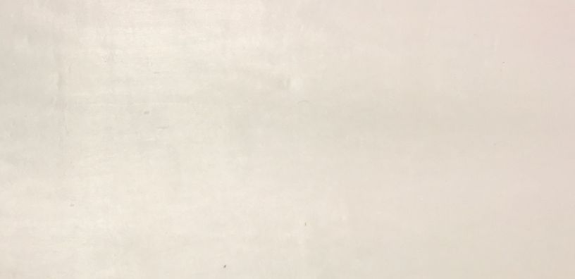 Sycomore (europ. Maple) veneer