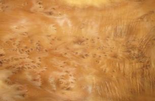 Yew tree veneer