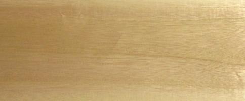 Paulownia veneer