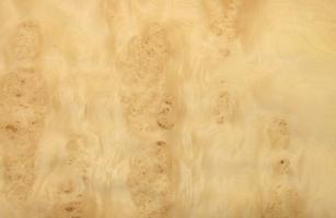 Sycomore burl veneer