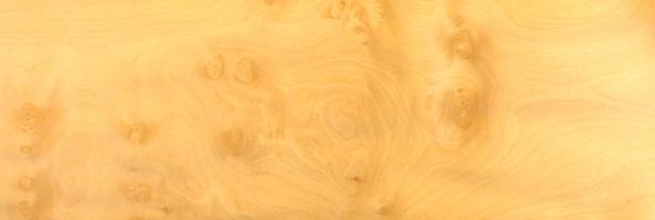 Sycomore burl veneer