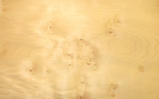 Sycomore burl veneer