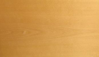 Beech veneer