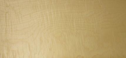 Sycomore figured veneer