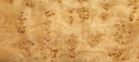 Poplar Burl veneer