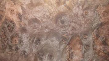 Walnut Burl veneer