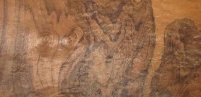 Walnut Burl veneer