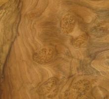 Walnut Burl veneer