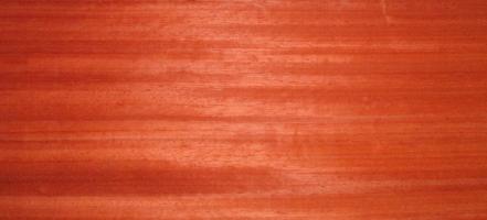 Padouk veneer