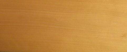 Beech veneer