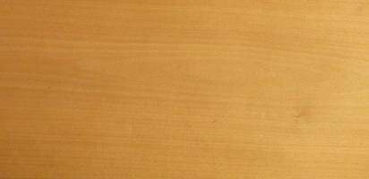 Beech veneer