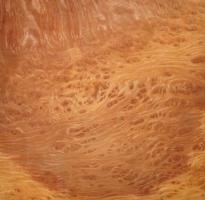 Vavona Burl veneer