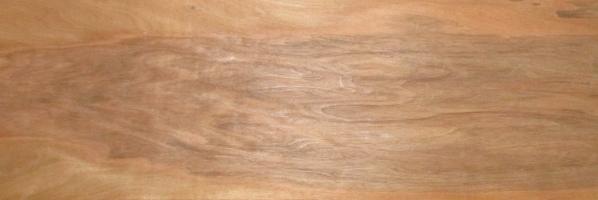 Walnut europ. veneer