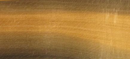 Oak Bog Oak veneer