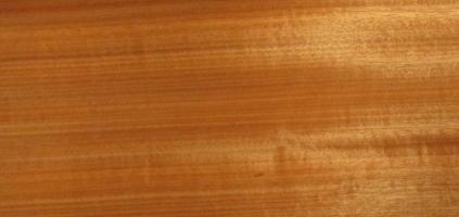 Macore veneer