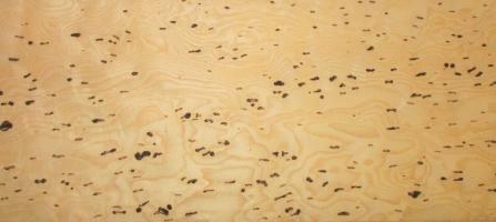 Ash (Truffels) veneer