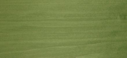 Poplar green veneer