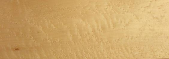 Maple (Bird´s Eye Maple) veneer