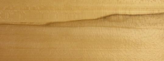 Beech veneer