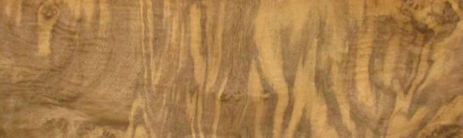 Walnut Burl veneer