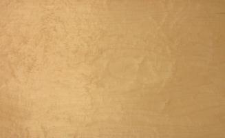 Maple (Bird´s Eye Maple) veneer
