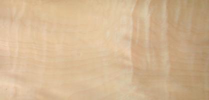 Birch veneer