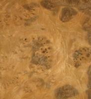 Walnut Burl veneer