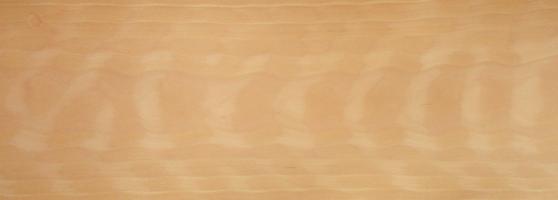 Beech veneer