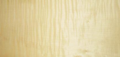 Sycomore figured veneer