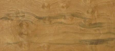 Walnut Burl veneer