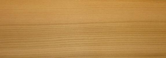 Elm (european) veneer