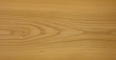 Elm (european) veneer