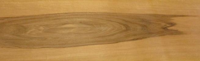 Walnut europ. veneer