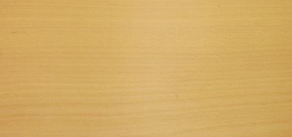 Beech veneer