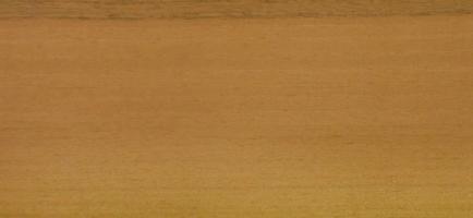 Walnut europ. Sapwood veneer