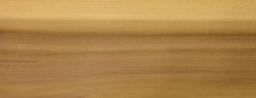 Tulipier veneer
