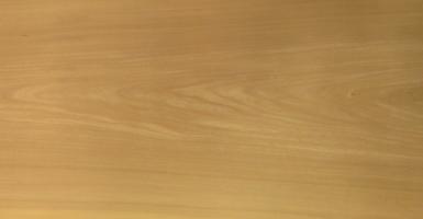Elm (Grey Elm) veneer
