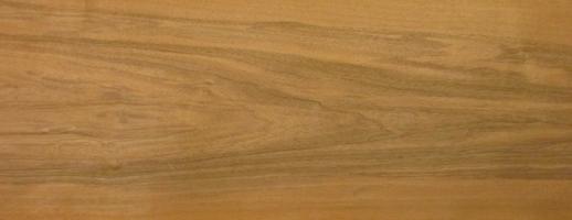 Walnut europ. veneer