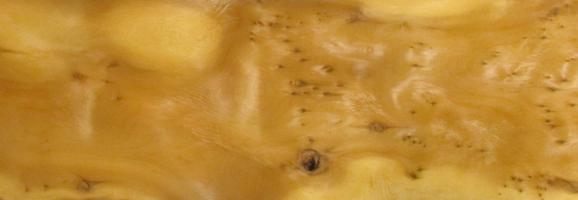 Yew - tree veneer