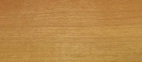 Walnut europ. Sapwood veneer